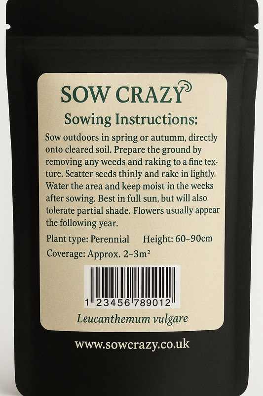 Oxeye Flower Seeds (Leucanthemum vulgare)