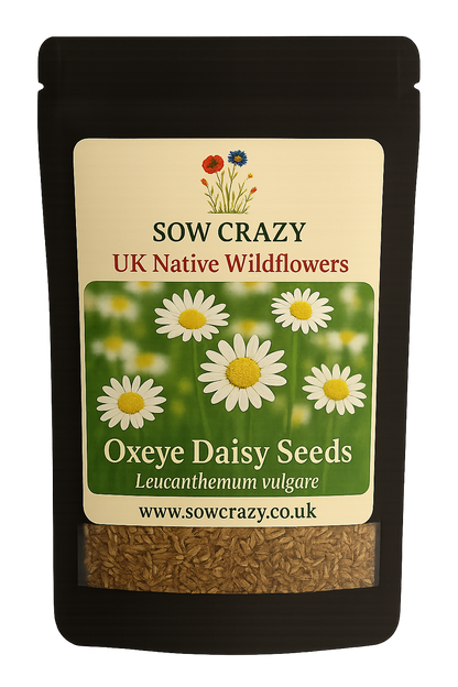 crazy daisy flower seeds Oxeye Flower Seeds (Leucanthemum vulgare) – Sow Crazy
