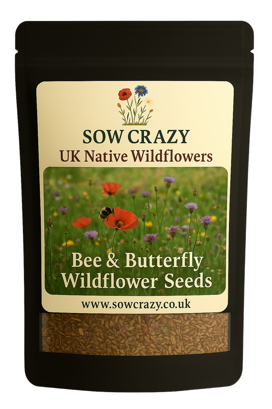 Front view of a packet of Sow Crazy's Bee 7 Butterfly wildflower seeds mix